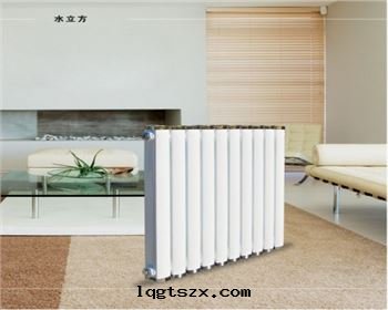 太諾鋼(gāng)制暖气(qì)片(piàn)-精鋼(gāng)7063水(shuǐ)立方(fāng)