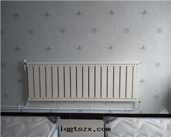 陝西(xī)鋁(lǚ)合金(jīn)暖气(qì)片(piàn)