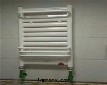 陝西(xī)背簍安(ān)裝(zhuāng)案(àn)例图(tú)