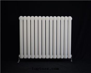 太諾鋼(gāng)制系(xì)列-6030暖气(qì)片(piàn)